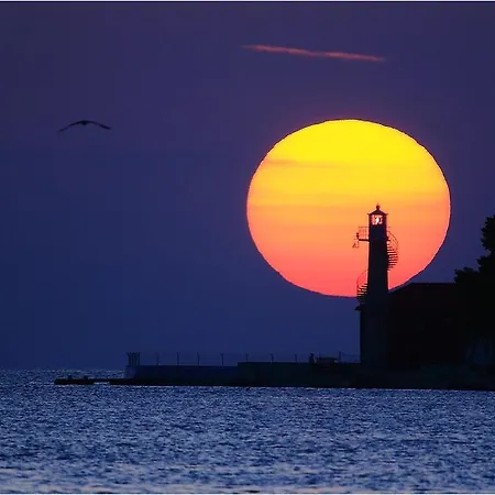 Simon's Appartement Zadar